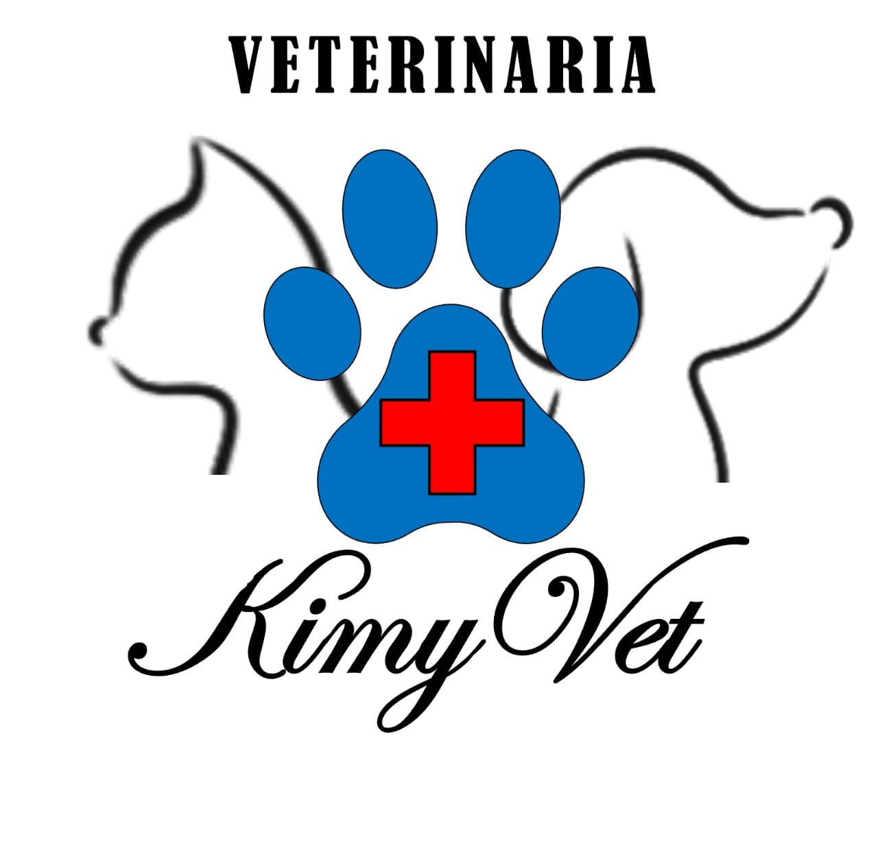 Logo KimyVet